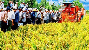 សន្និសិទ្ធបូកសរុបកម្មវិធីកសាងពិសោធន៍រូបសណ្ធានជនបទថ្មី